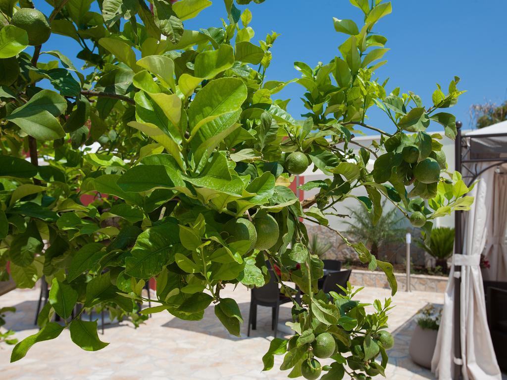 Hotel Bhagya Gallipoli Exterior foto